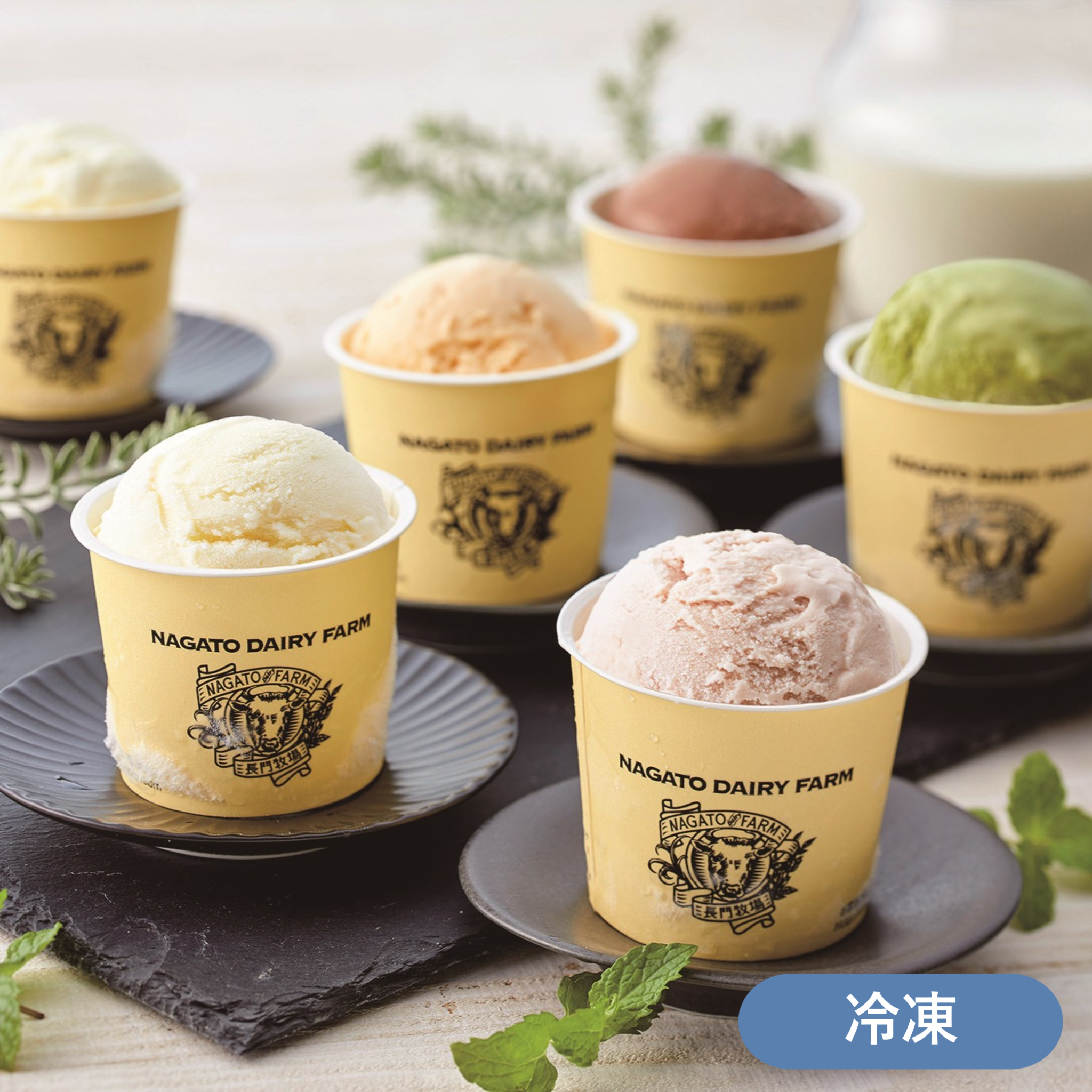 バラエティー10個セット 長門牧場アイスクリーム – カルピス(株)特撰