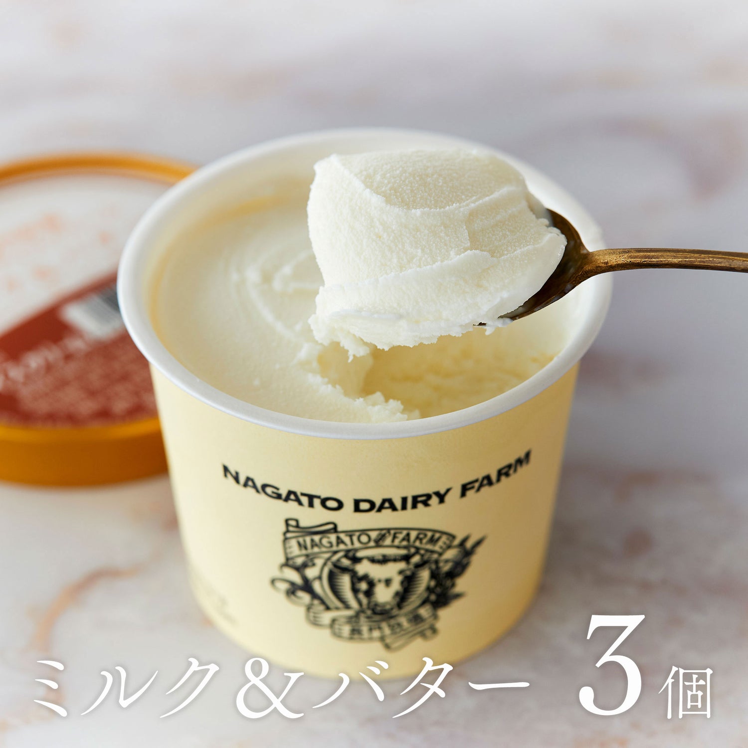 バラエティー10個セット 長門牧場アイスクリーム